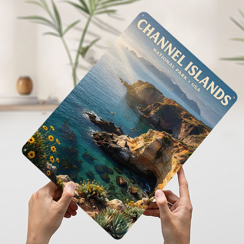 채널 아일랜드 국립공원 금속 포스터 맞춤형 벽 장식 레 - Retro Gaming Island 리뷰 및 가격